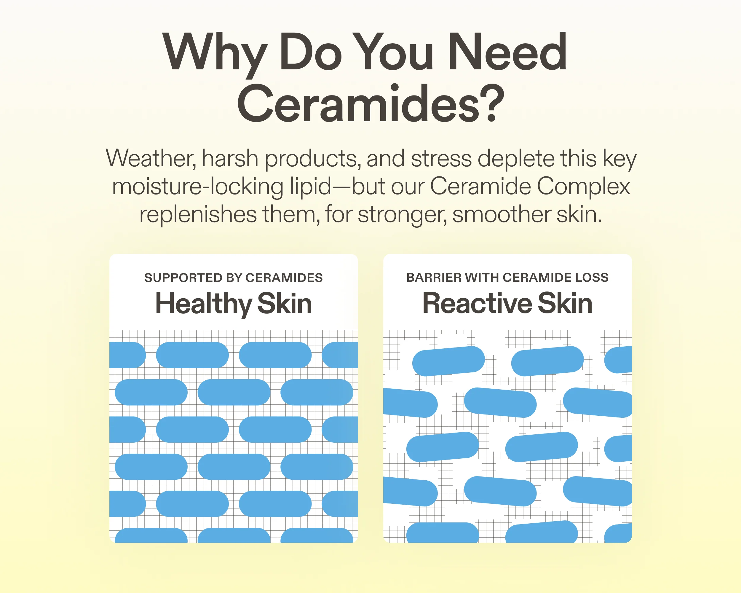 Ceramide Prime Whipped Cream - Image 6